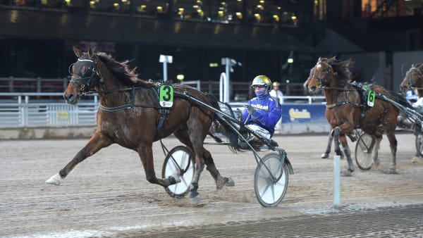 Foto: LARS JAKOBSSON / TR BILD