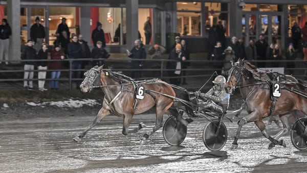 Foto: JENNY REHNMAN / TR BILD