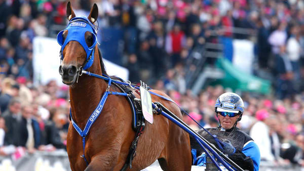 Foto: MICKE GUSTAFSSON