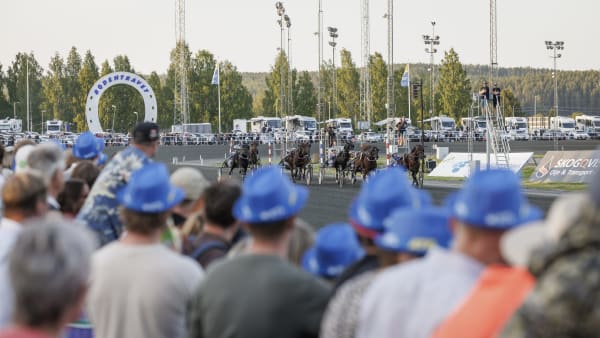 Foto: LENA EMMOTH / TR BILD