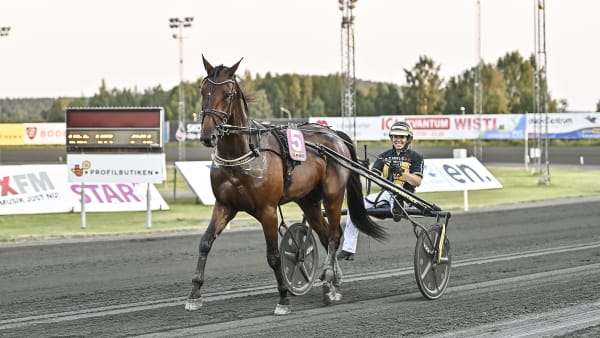 Foto: JENNY REHNMAN / TR BILD