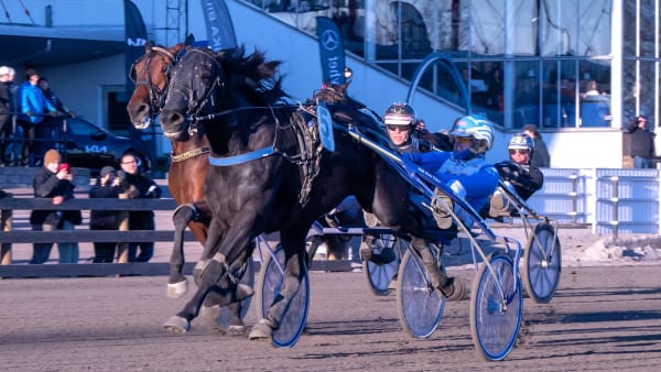 Foto: MIKAEL ROSENQUIST / TR BILD