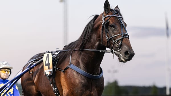 Foto: LENA EMMOTH / TR BILD