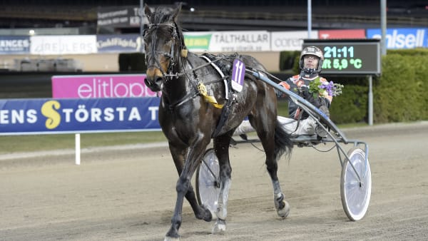 Foto: LARS JAKOBSSON / TR BILD