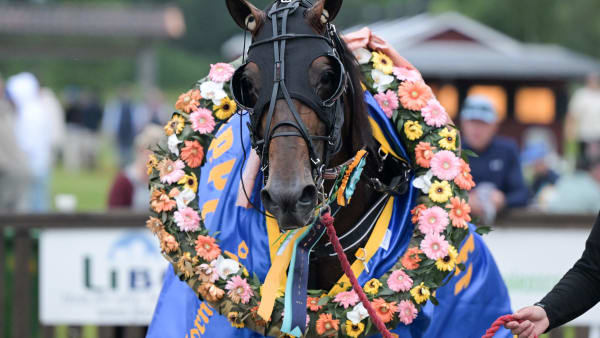 Foto: LARS JAKOBSSON / TR BILD