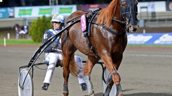 Foto: MALIN ALBINSSON / TR BILD