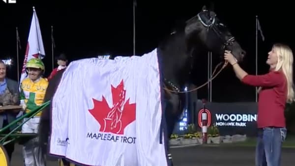 Foto: Skärmdump, Mohawk Woodbine Parks youtube-konto