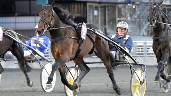 Foto: LARS JAKOBSSON / TR BILD