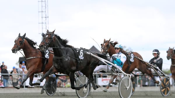 Foto: MARIA HOLMÉN / TR BILD