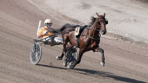 Foto: THOMAS BLOMQVIST / TR BILD