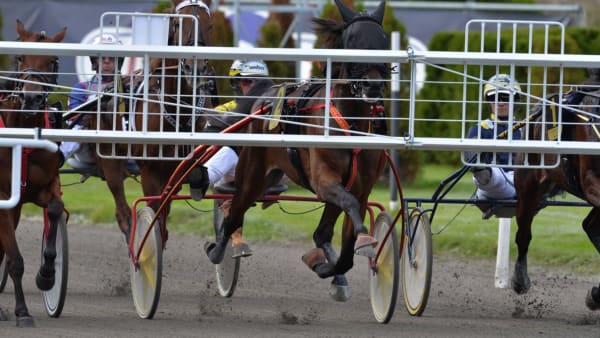 Foto: THOMAS BLOMQVIST/KANAL75