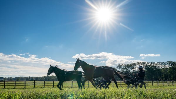 Foto: Thomas Blomqvist/TR Bild