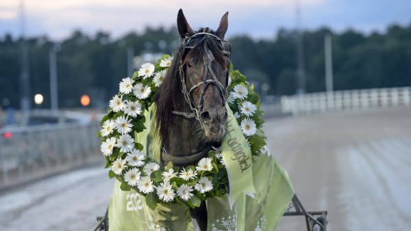 Foto: LARS JAKOBSSON / TR BILD