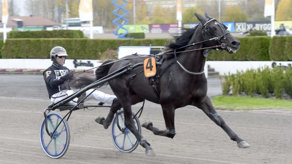 Foto: LARS JAKOBSSON / TR BILD