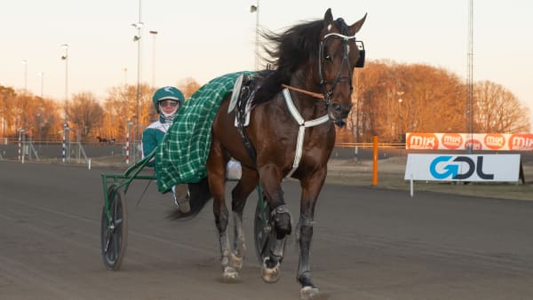 Foto: MIKAEL ROSENQUIST / TR BILD