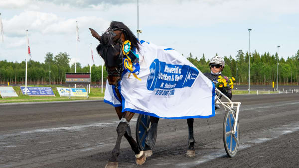 Foto: MIKAEL ROSENQUIST / TR BILD