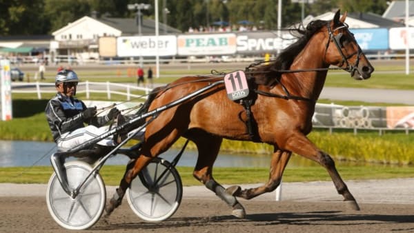 Foto: MICKE GUSTAFSSON/ALN