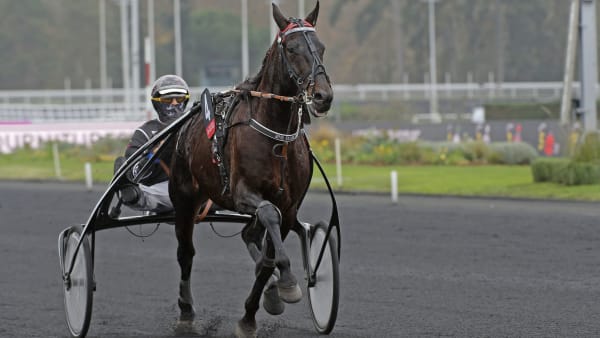 Foto: JEAN-LUC LAMAÈRE/LE TROT