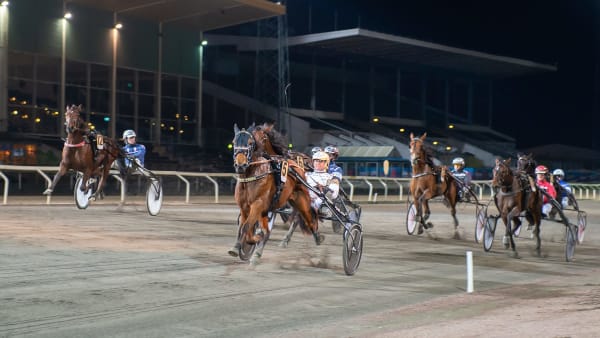 Foto: MIKAEL ROSENQUIST / TR BILD