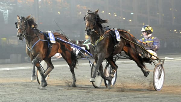 Foto: JÖRGEN TUFVESSON/ALN