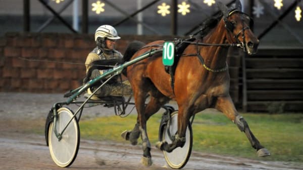 Foto: MARTIN LANGELS/ALN