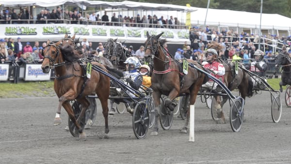 Foto: LARS JAKOBSSON / TR BILD