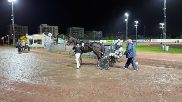 Foto: EMIL PERSSON/TR BILD