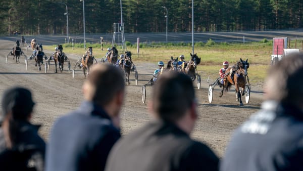 Foto: THOMAS BLOMQVIST/TR BILD