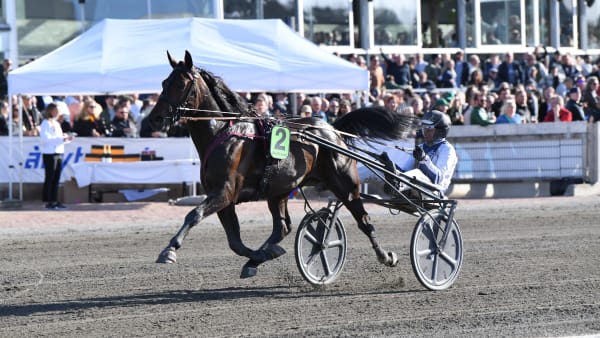 Foto: Malin Albinsson/TR BILD