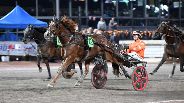 Foto: MALIN ALBINSSON / TR BILD