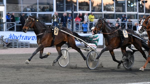 Foto: MALIN ALBINSSON / TR BILD