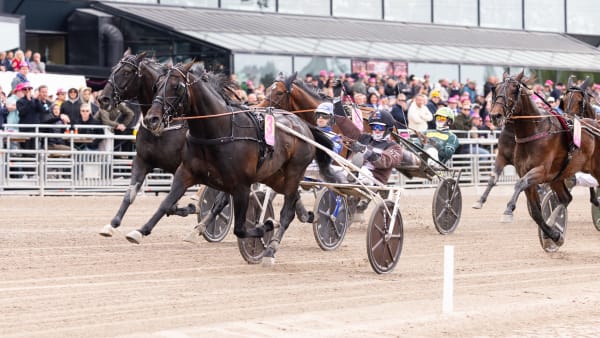 Foto: LENA EMMOTH / TR BILD