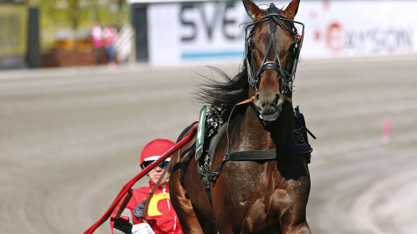 Foto: MARIA HOLMÉN / TR BILD