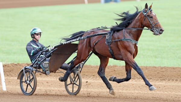 Foto: MIA TÖRNBERG/TRAVRONDEN