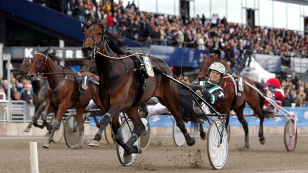 Foto: MARIA HOLMÉN / TR BILD