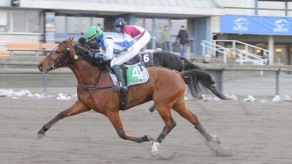 Foto: Göran Lindskog/Sidmakarn