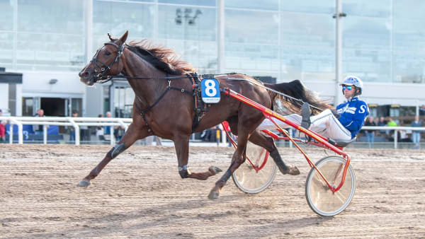 Foto: MIKAEL ROSENQUIST / TR BILD