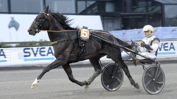 Foto: LARS JAKOBSSON / TR BILD