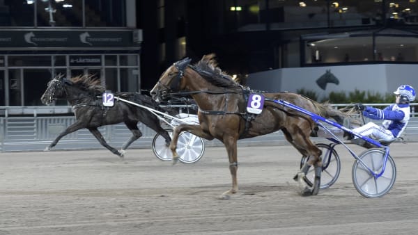 Foto: LARS JAKOBSSON / TR BILD