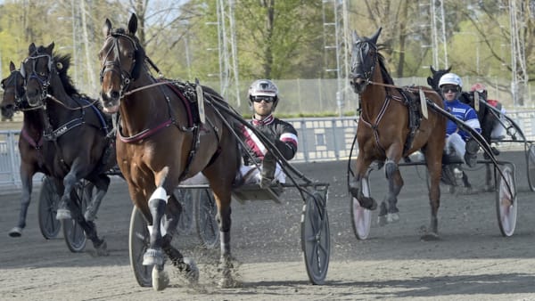 Foto: Lars Jakobsson/TR Bild