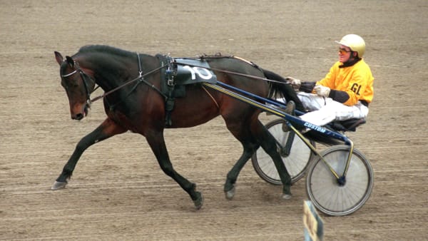 Foto: THOMAS BLOMQVIST / TR BILD