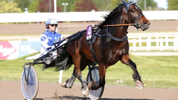 Foto: MICKE GUSTAFSSON/TR BILD