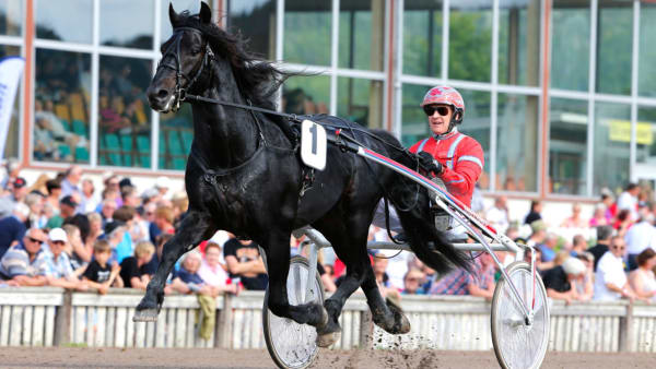 Foto: MICKE GUSTAFSSON/ALN