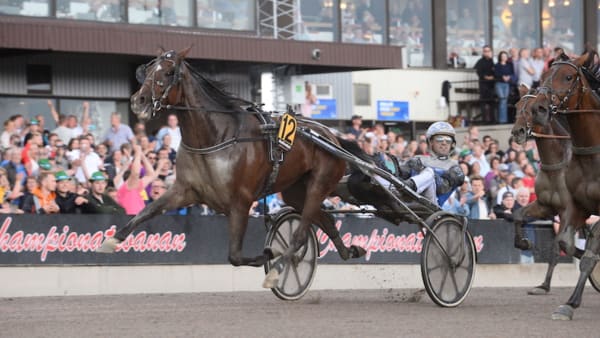 Foto: MALIN ALBINSSON/TR BILD