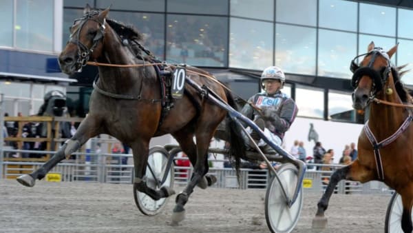 Foto: MARTIN LANGELS/ALN