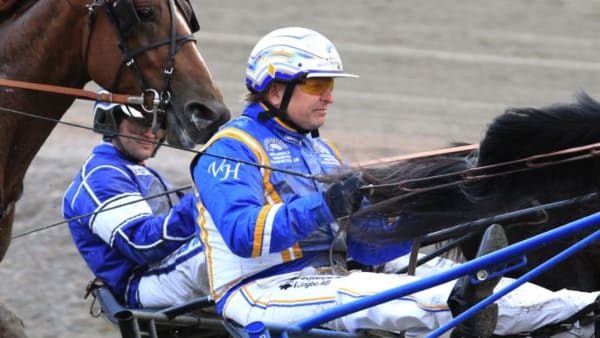 Foto: MIA TÖRNBERG/TRAVRONDEN