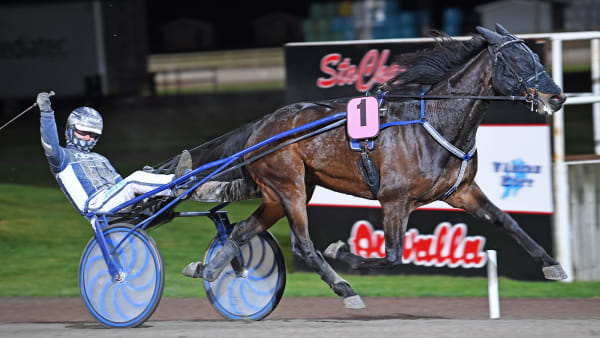 Foto: MALIN ALBINSSON / TR BILD