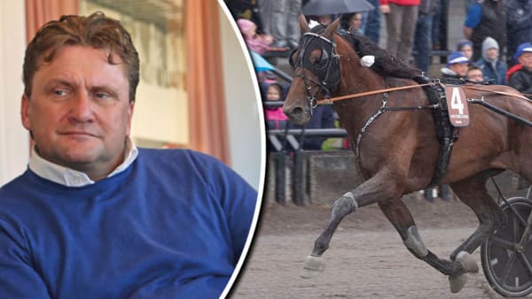 Foto: Maria Holmén/Hesteguiden/TR Bild