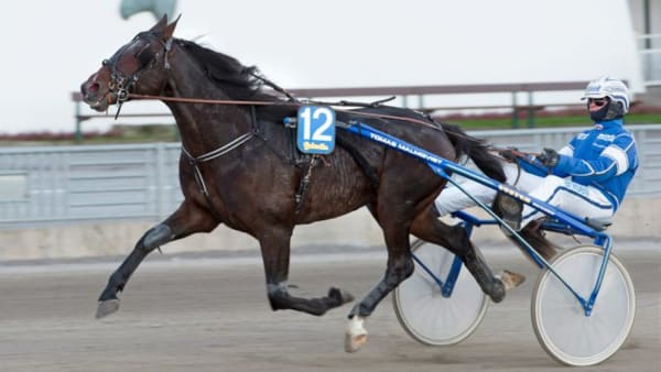 Foto: TOMMY ANDERSSON/ALN