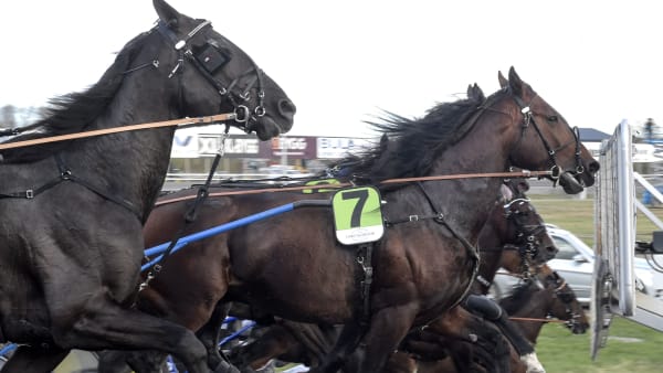 Foto: LARS JAKOBSSON / TR BILD